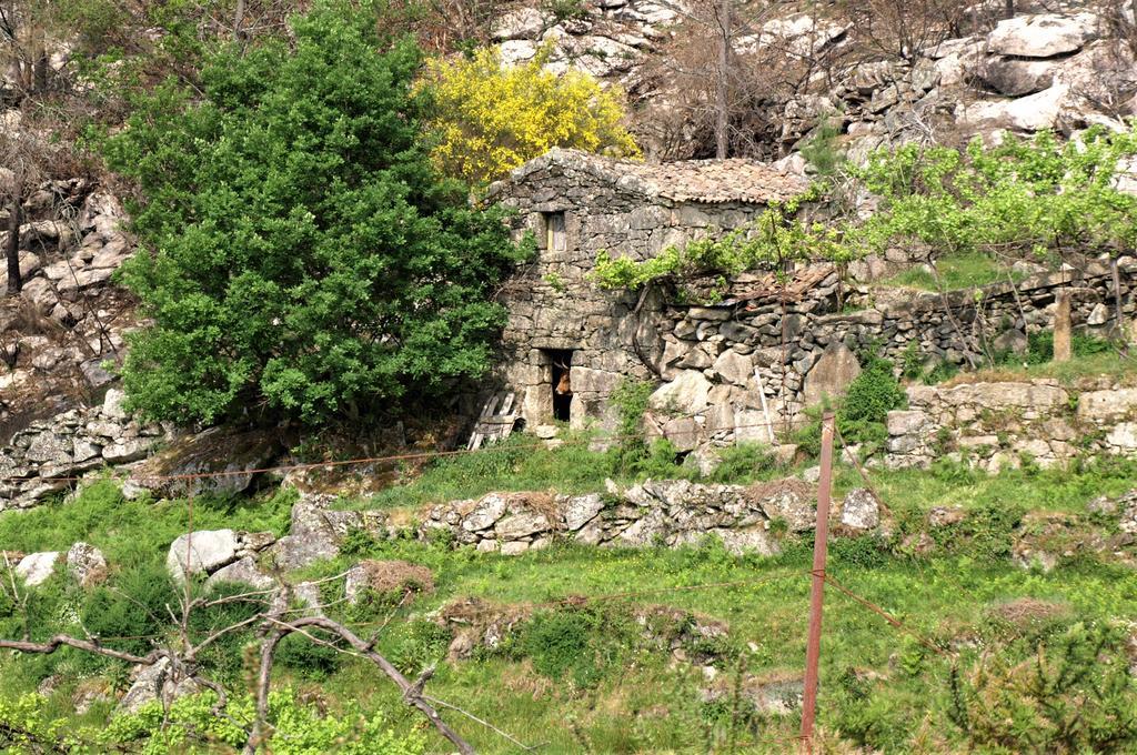 Casa Das Videiras Soajo Luaran gambar